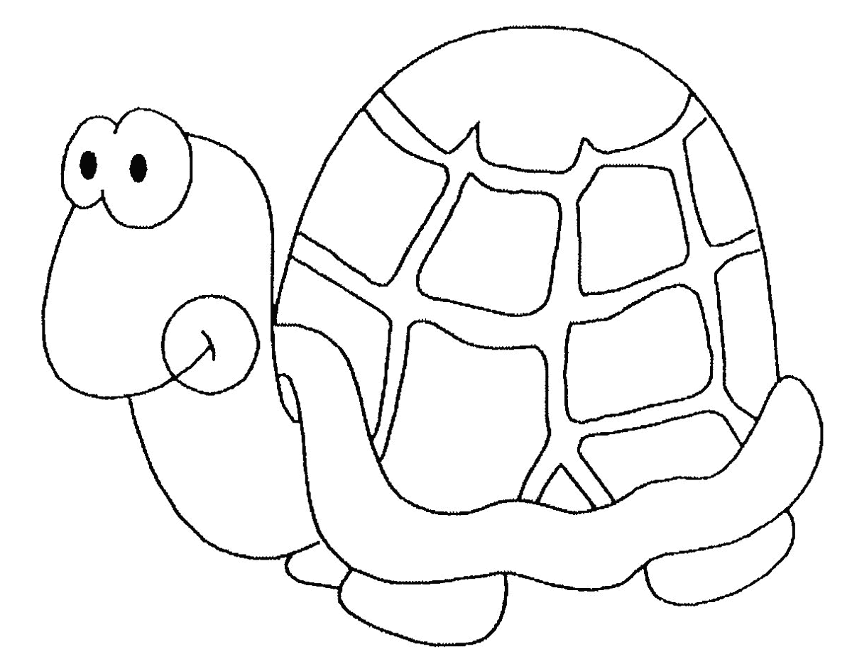 coloriage tortue gratuit imprimer