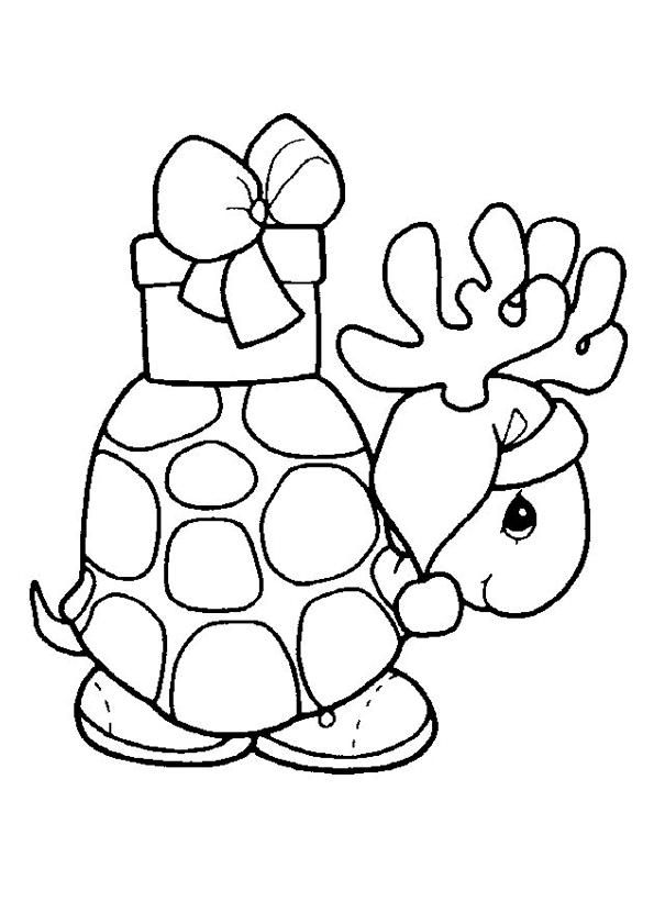 dessin tortue franklin