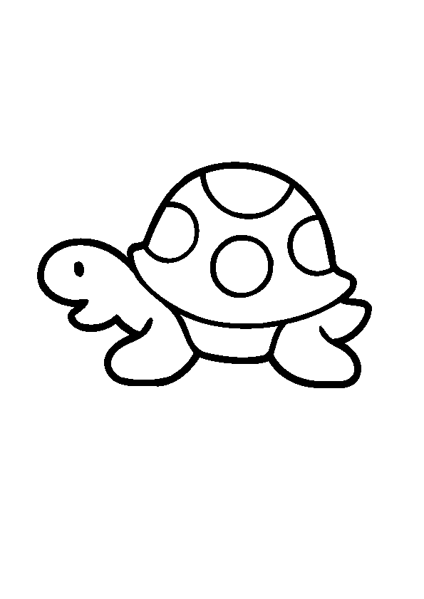coloriage tortue hugo l'escargot
