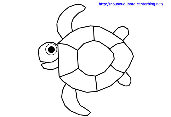 colorier une tortue