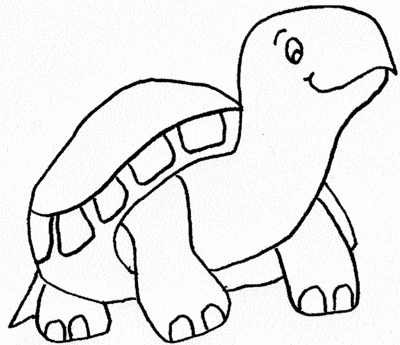dessin à colorier tortue hugo l'escargot