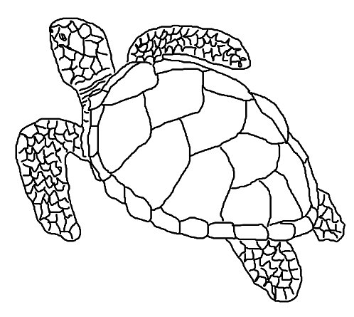 dessin à colorier samy la tortue a imprimer