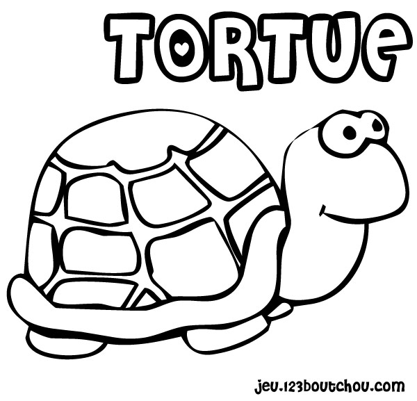 coloriage d'une tortue de mer