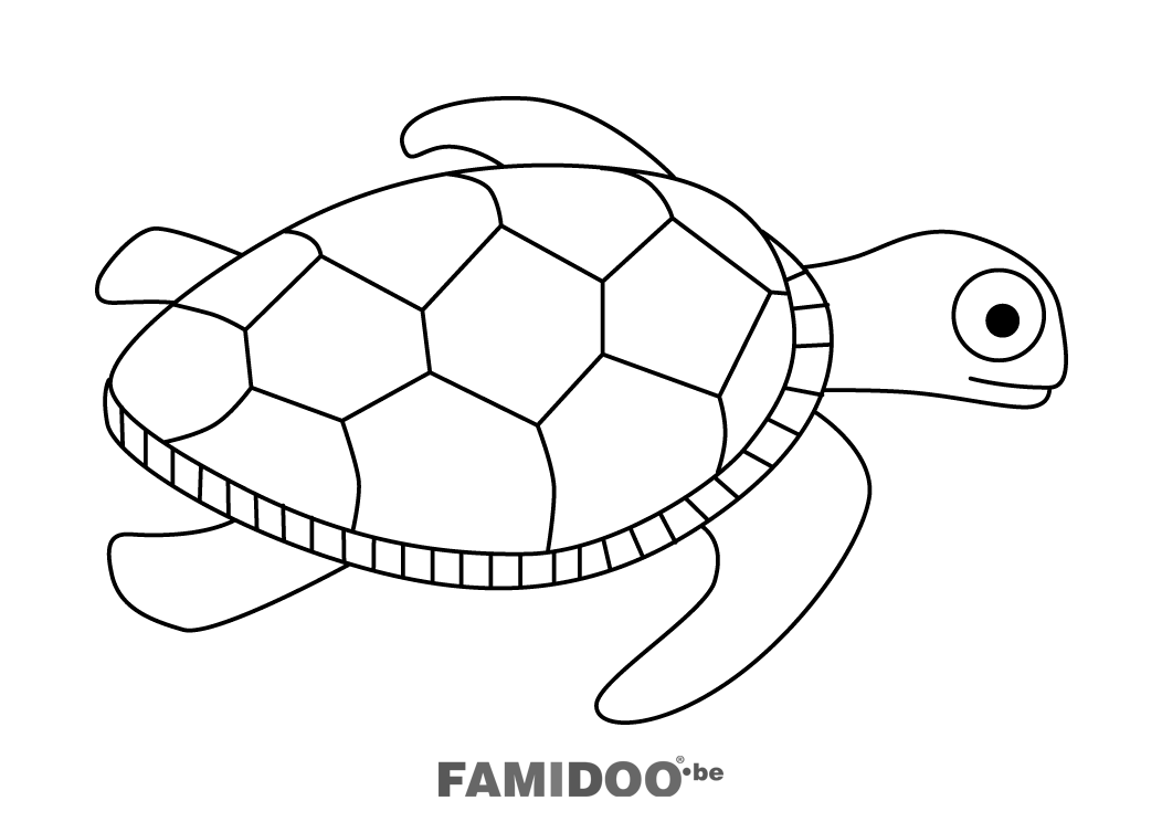 coloriage tortue d'eau a imprimer