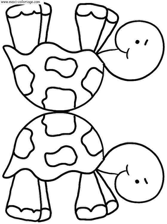 dessin tortue caouanne