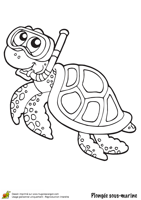 coloriage tortue de mer à imprimer