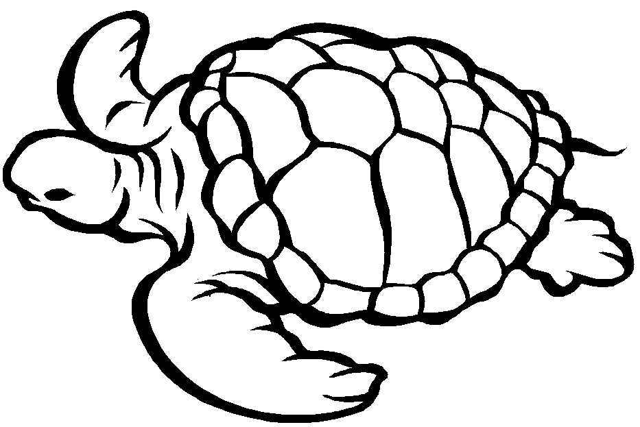 dessin à colorier tortue ninja hugo l'escargot