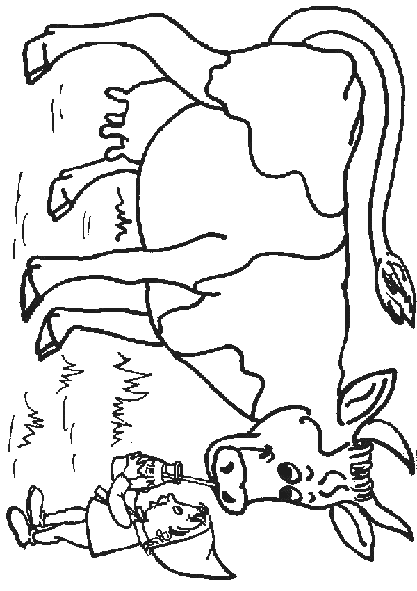 dessin de vache avec son veau