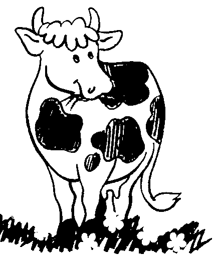 dessin à colorier de petite vache
