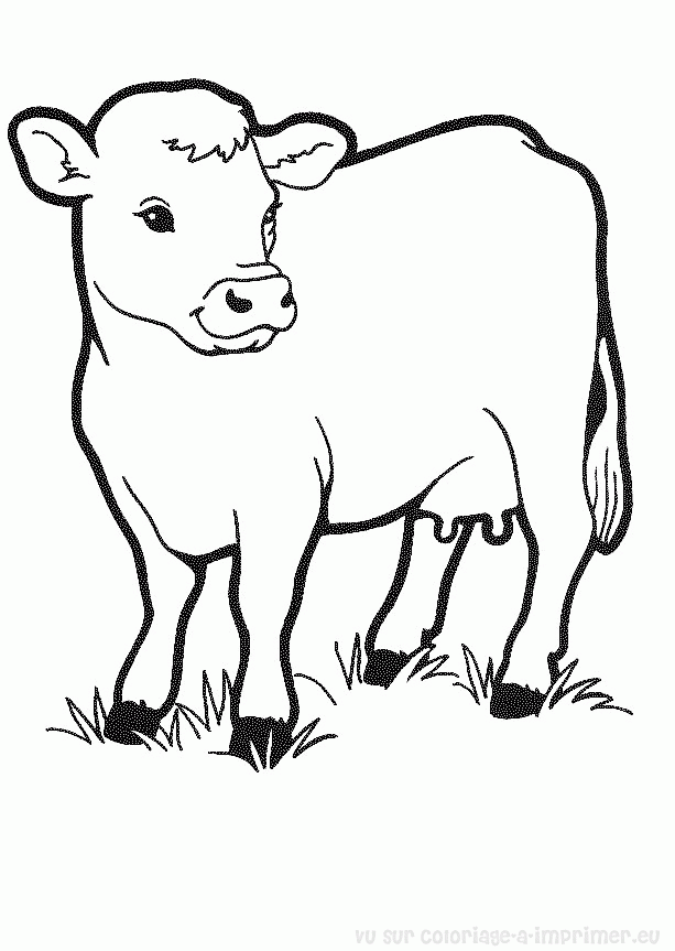 coloriage à dessiner vache à imprimer gratuit