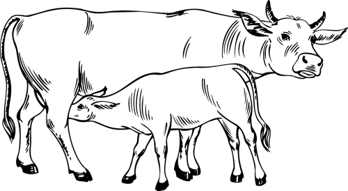 coloriage à dessiner vache mouton