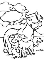 dessin à colorier de vache et son veau