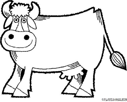 dessin de vache et de taureau