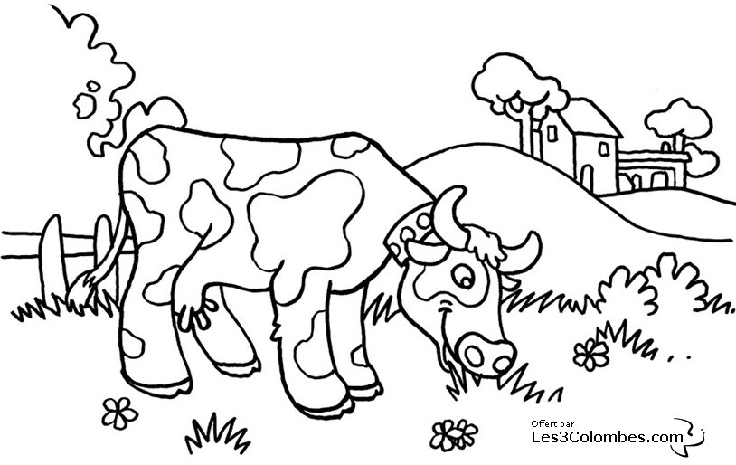 coloriage vache