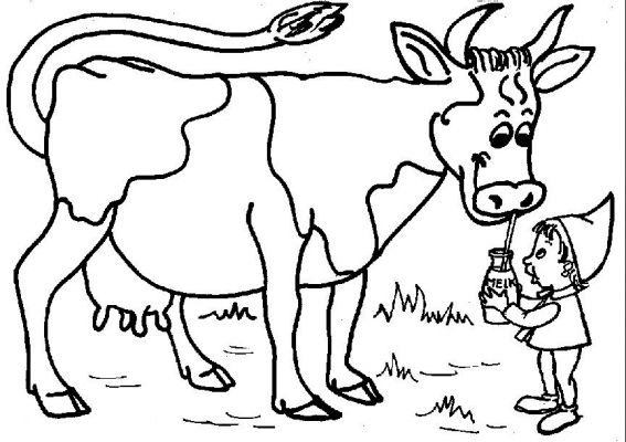 coloriage vache maternelle