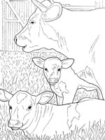 coloriage à dessiner vache facile