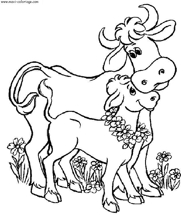 coloriage à dessiner de vache limousine