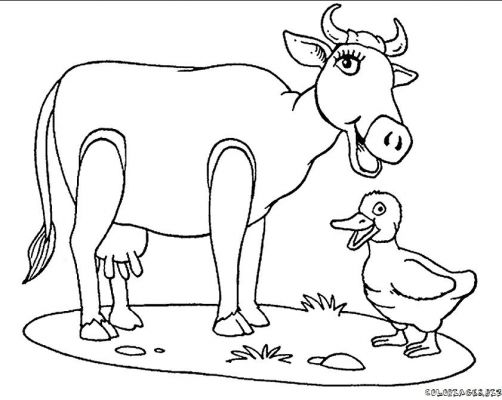 dessin vache veau taureau