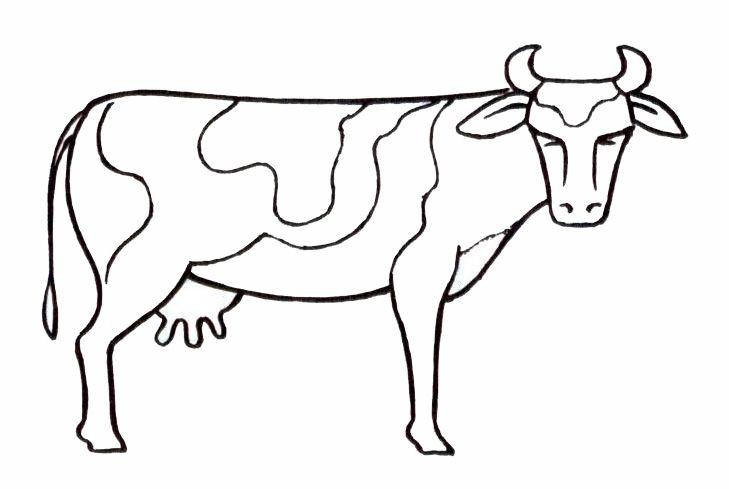 dessin vache qui rit