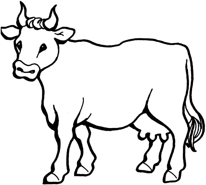dessin gommette vache