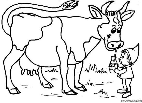 dessin à colorier de vache qui rit