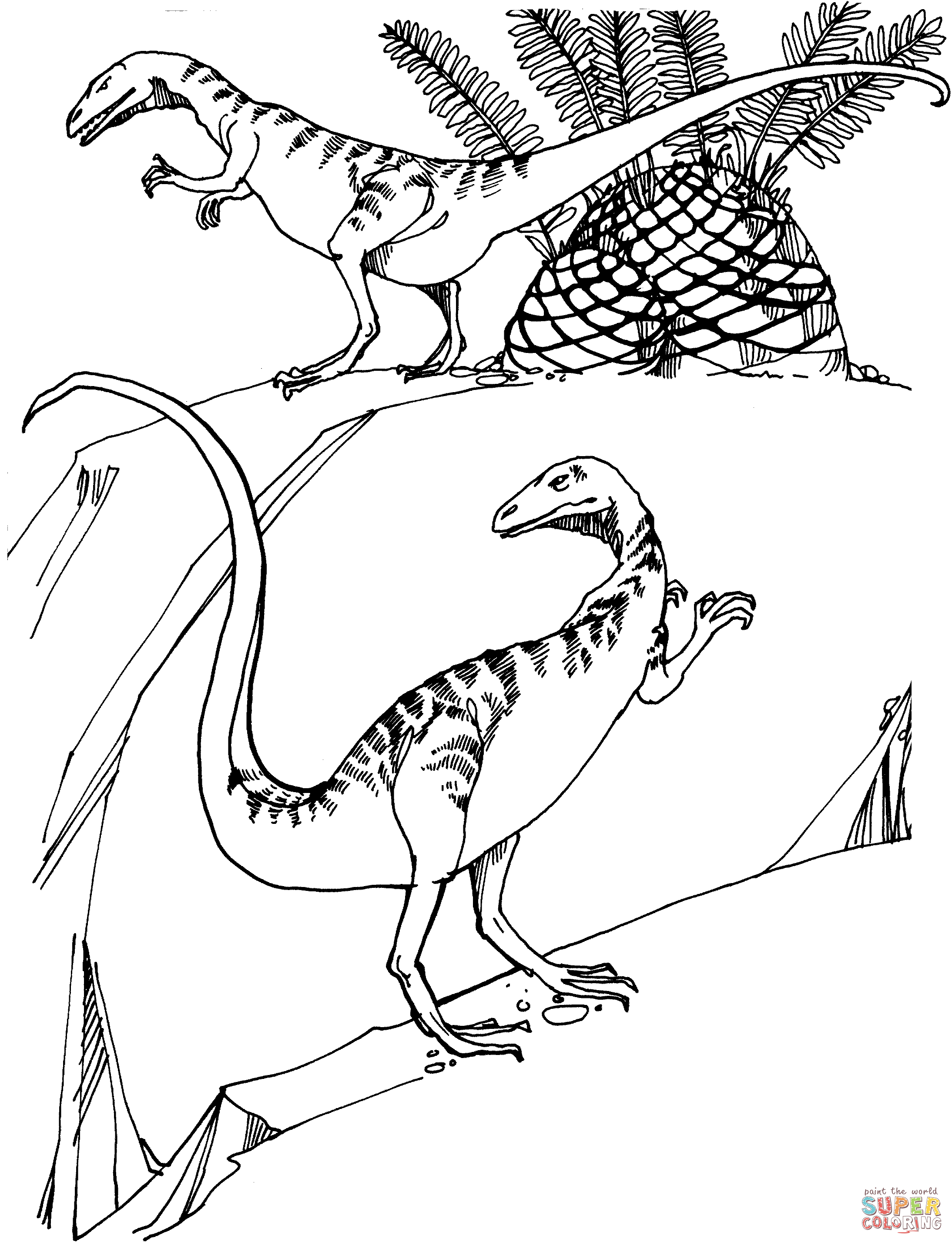 coloriage velociraptor dinosaure