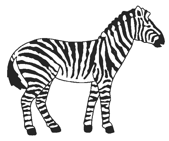image de zebre a imprimer