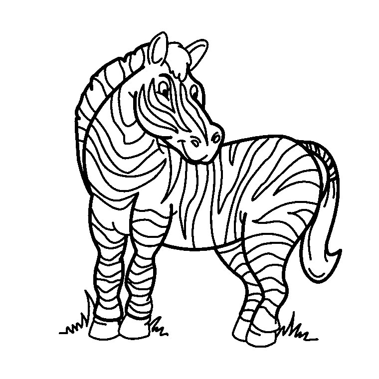 coloriage zou le zebre a imprimer