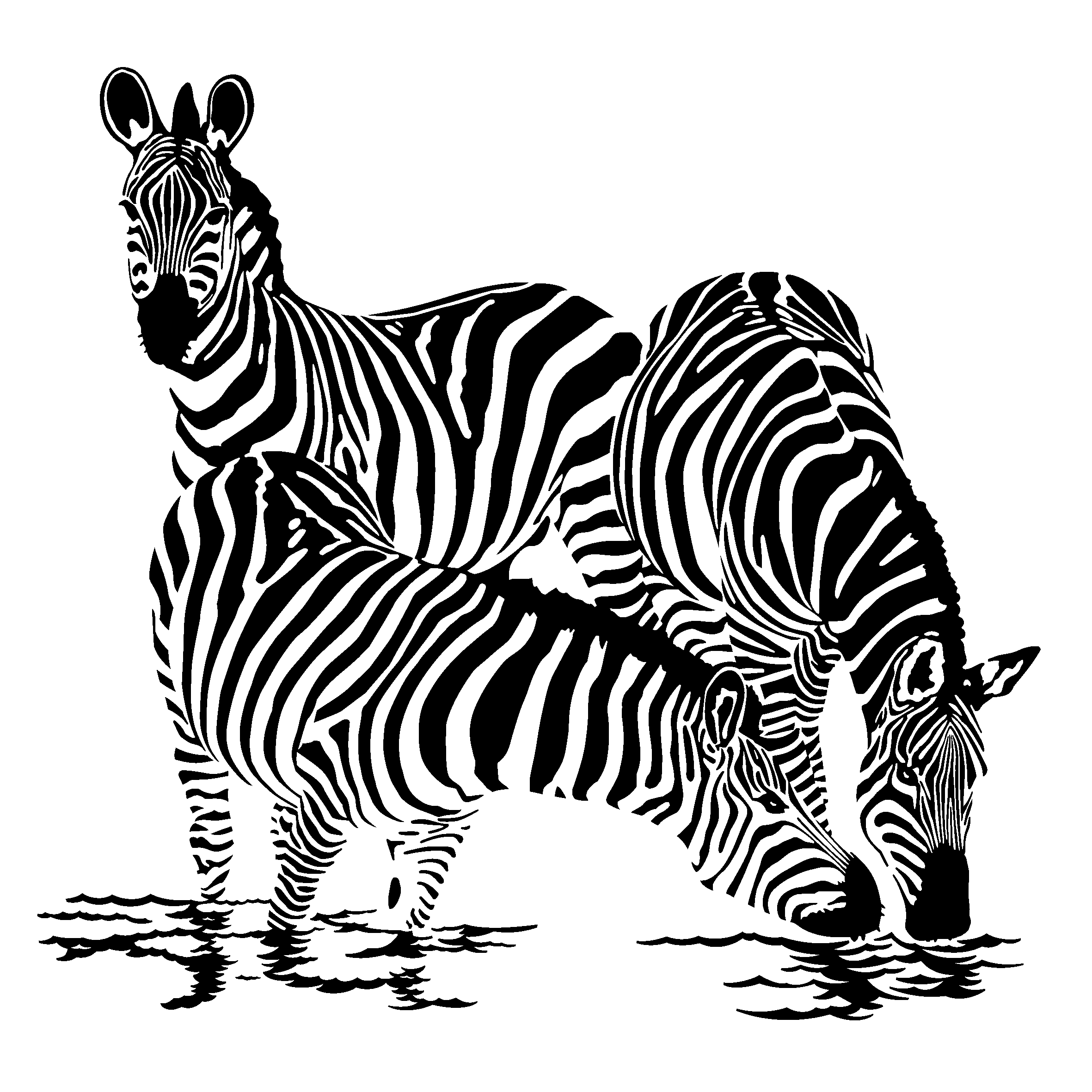 coloriage à dessiner à imprimer zebre