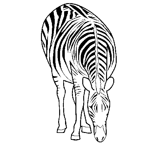 Coloriage Bebe Za Bre