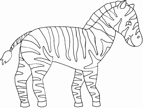 dessin zebre sans rayure