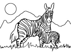 coloriage zebre à imprimer