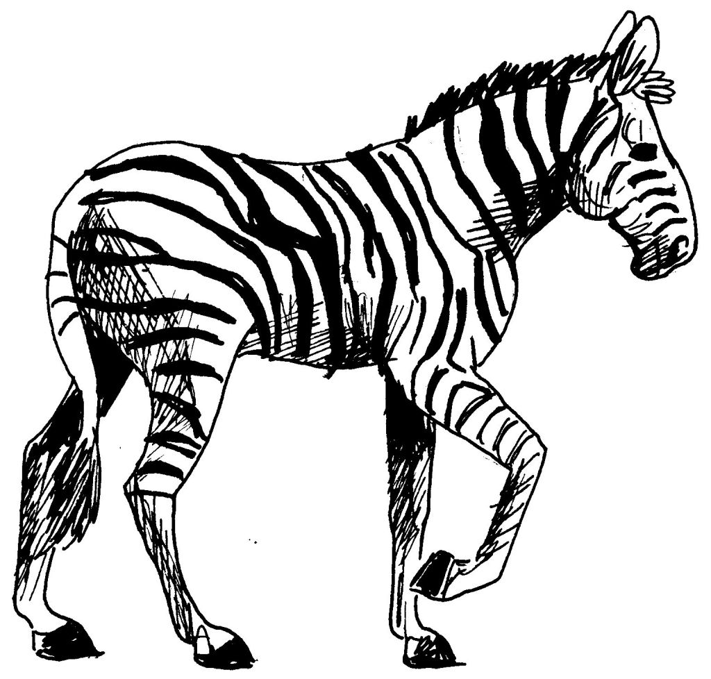 dessin à colorier zou zebre