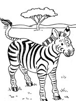 dessin à colorier zebre a imprimer gratuit