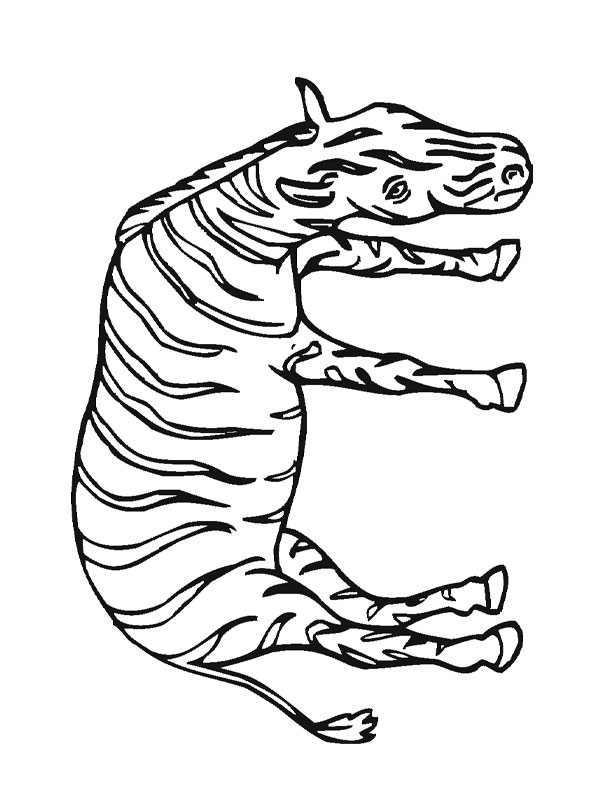 dessin tete de zebre