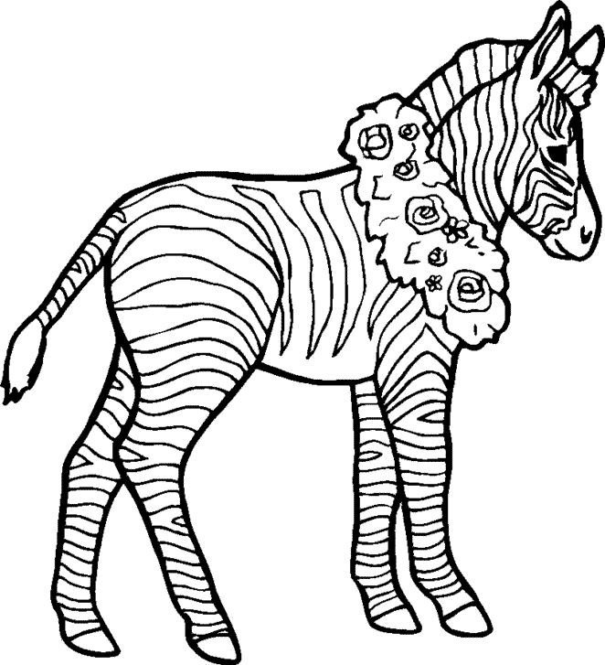 dessin de zebre gratuit