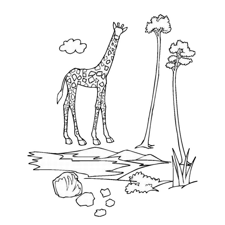 coloriage des animaux du zoo en ligne