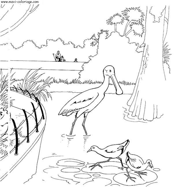 jeux coloriage zoo