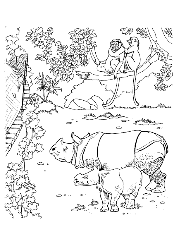 coloriage zoo beauval
