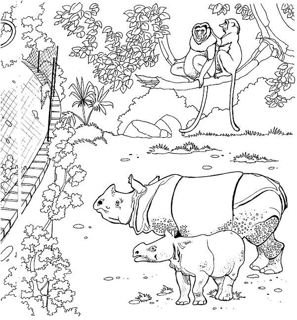 jeux coloriage à dessiner zoo