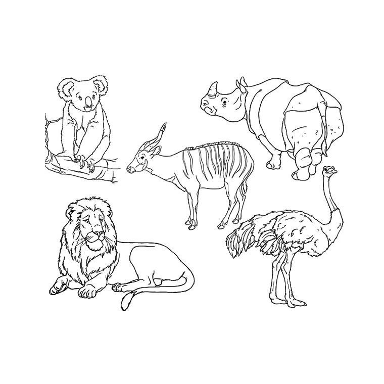 coloriage à dessiner d'un zoo