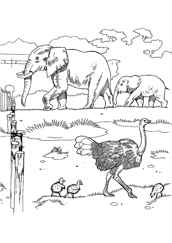 coloriage de zoo en ligne