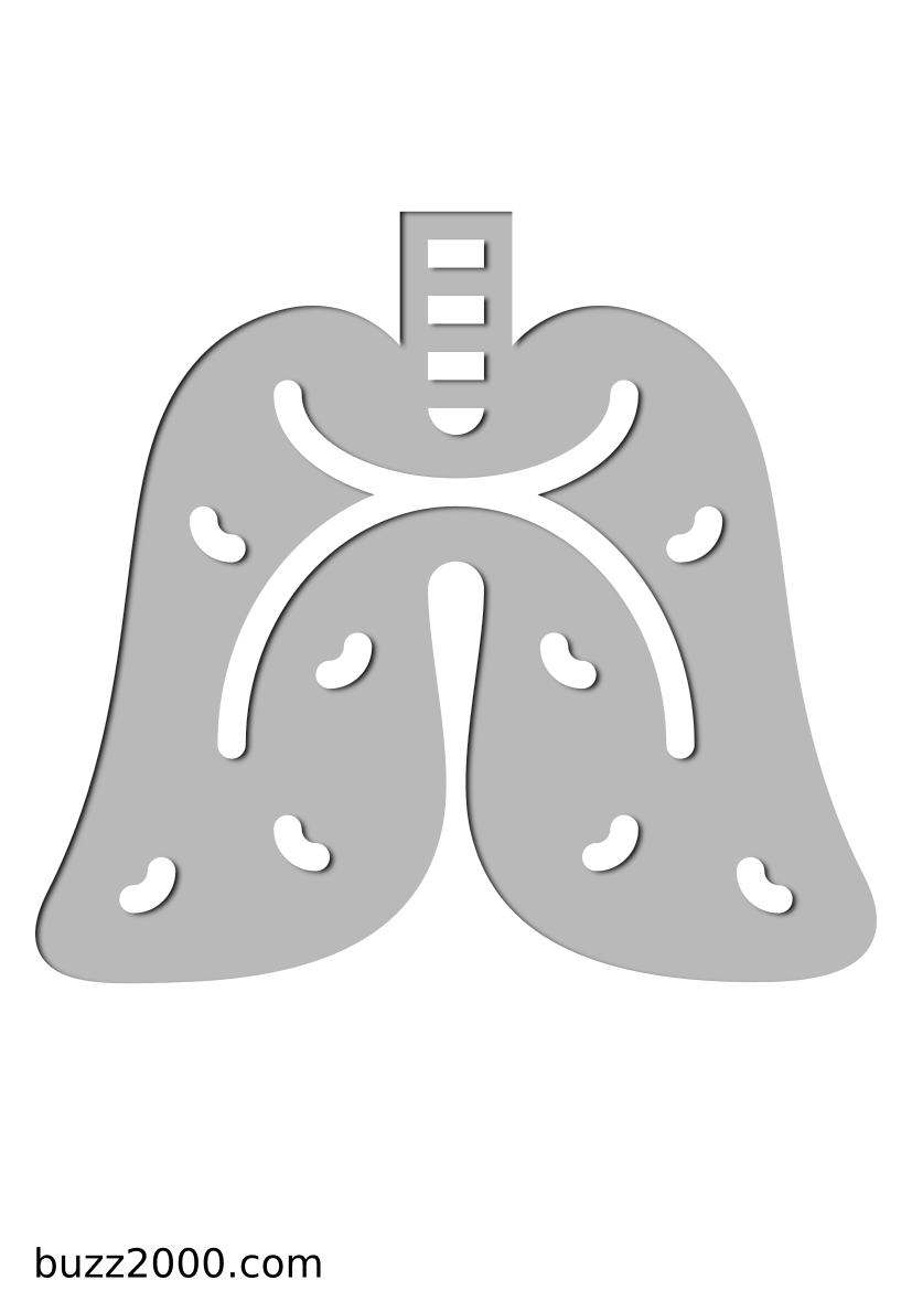 Pochoir Medical Poumons