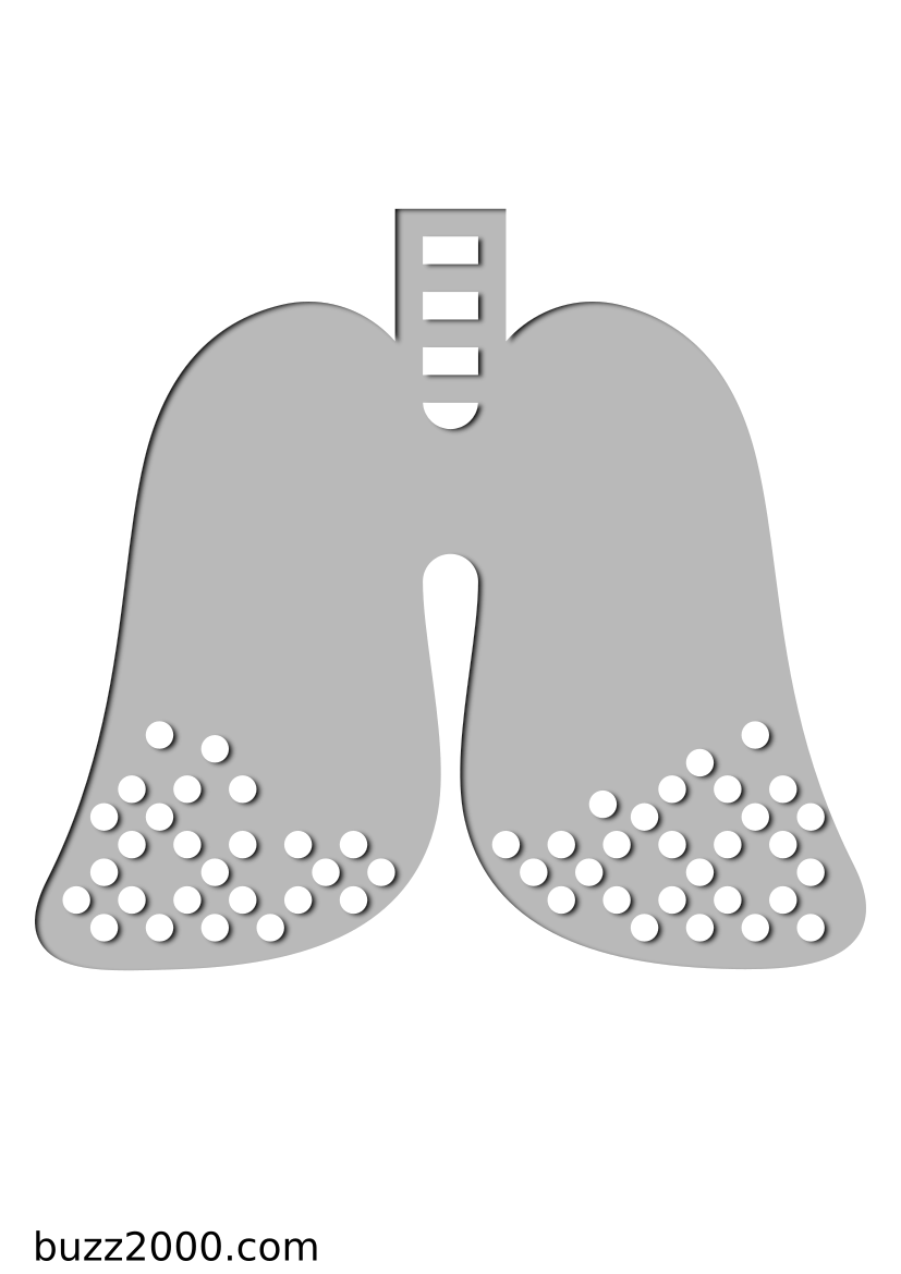 Pochoir Medical Poumons