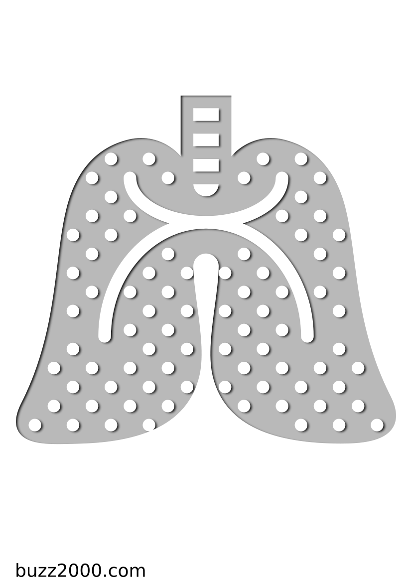 Pochoir Medical Poumons